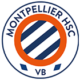 MHSC-VB